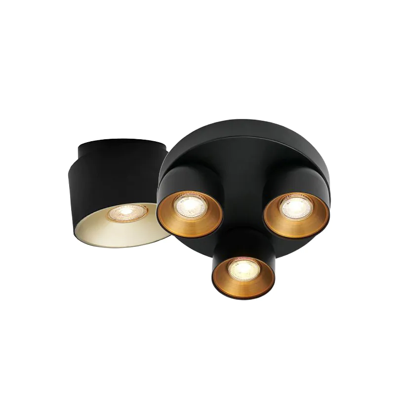 Black ceiling spotlights
